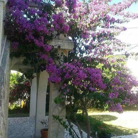 Rajic Apartament *